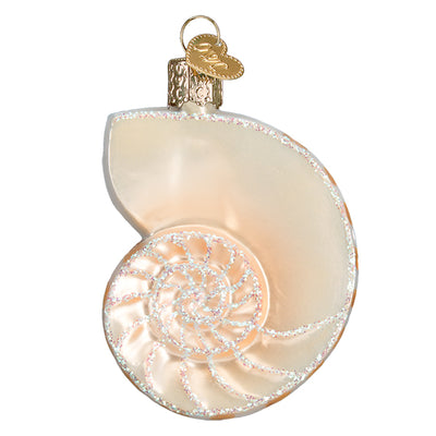 Ivory Nautilus Shell Ornament