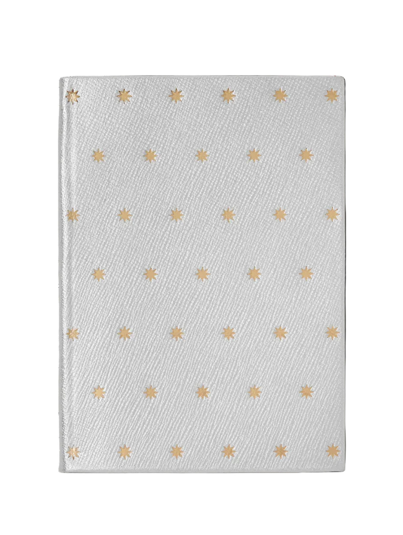 Silver Point Notebook Soho Stars Notebook in Silver – Permanent Resident