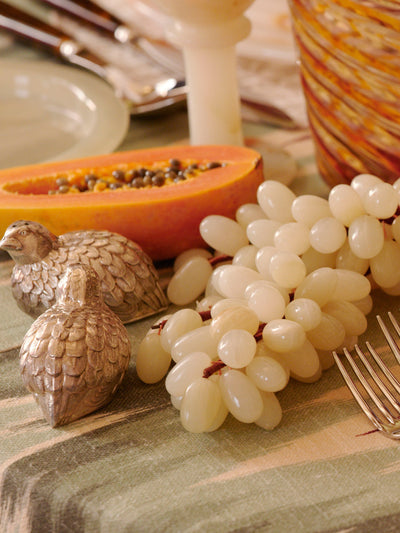Bird Salt & Pepper Shaker Set Onyx Grape Bunch Papaya