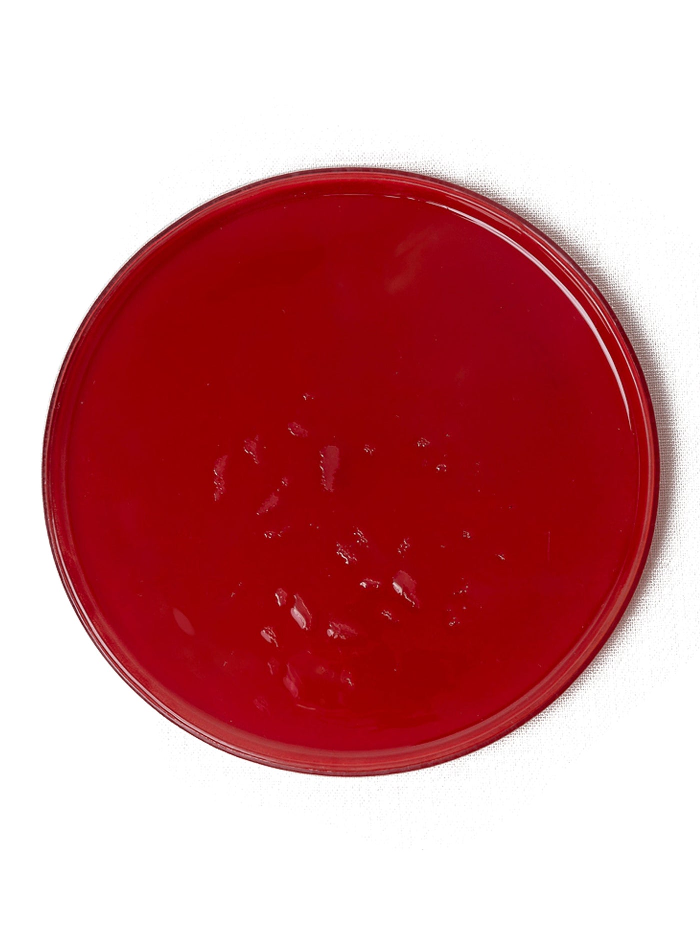 Handmade Glass Dinner Plate in Red by Caju Collective